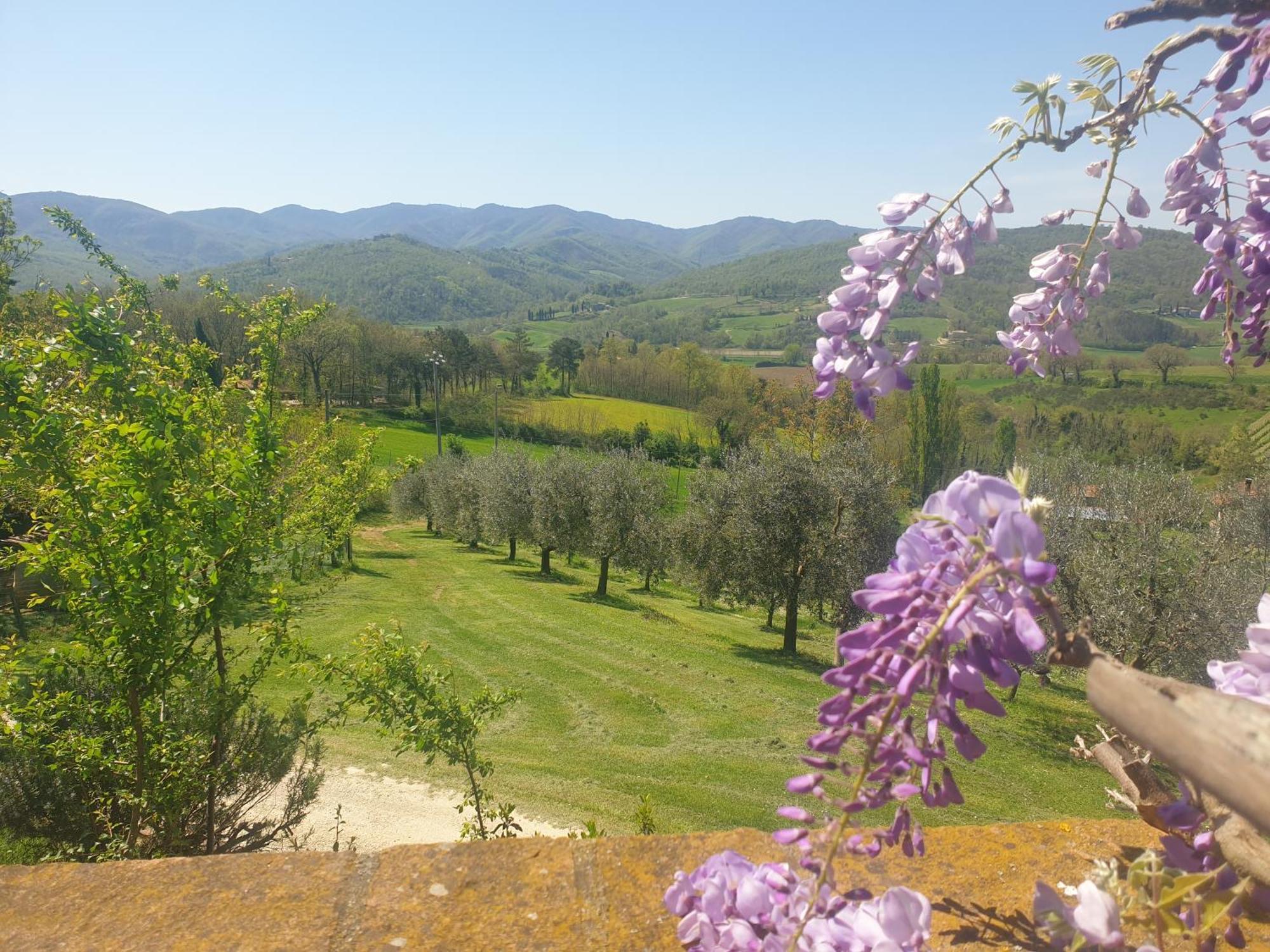 Agriturismo Val Della Pieve Anghiari Exterior photo
