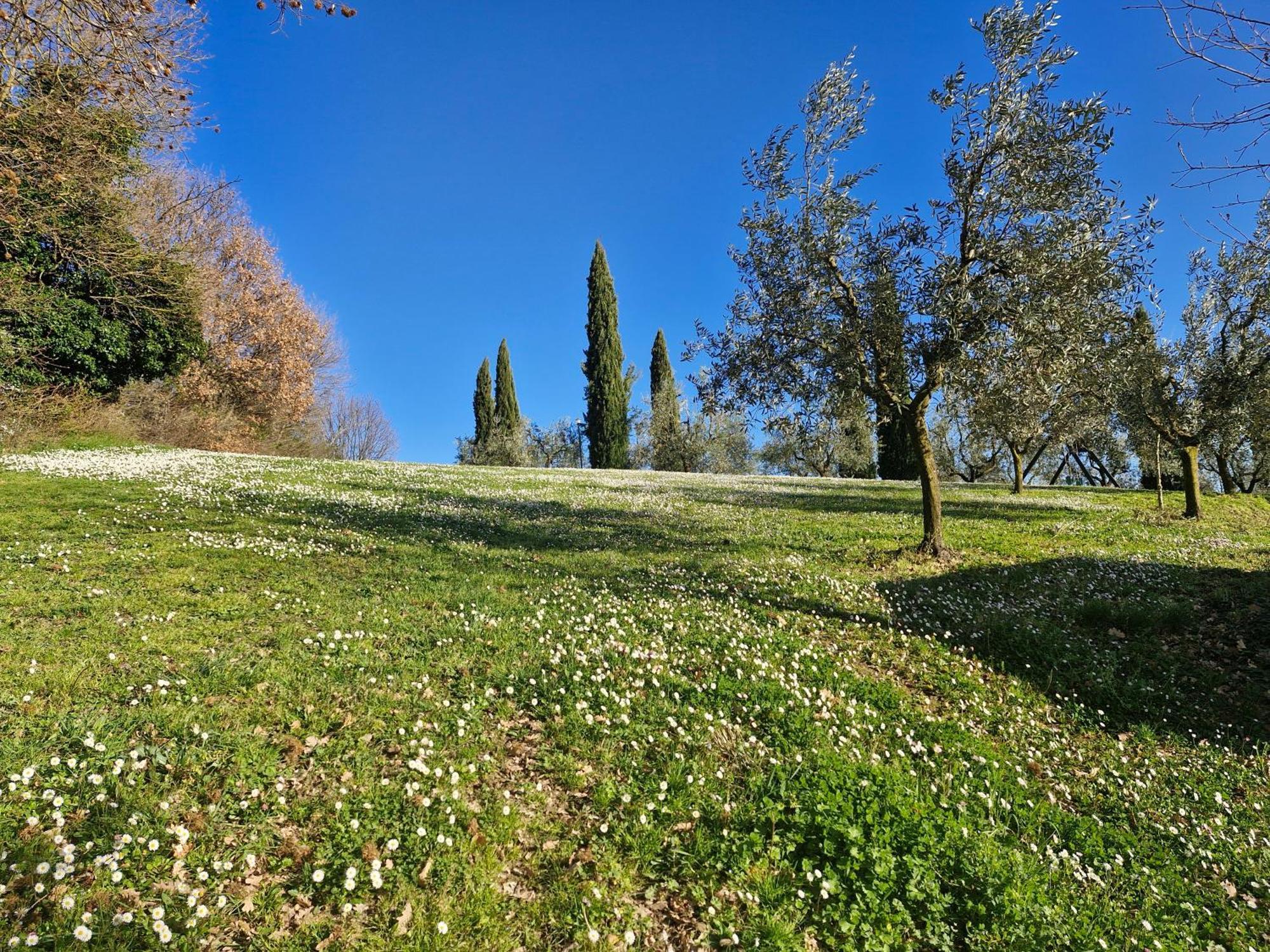 Agriturismo Val Della Pieve Anghiari Exterior photo